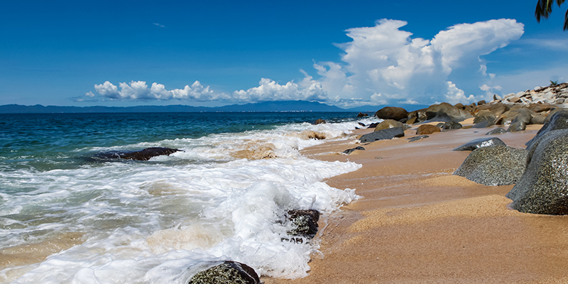 Las Animas Beach Las Animas Beach
