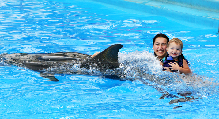 Nade Con Delfines En Aquaventuras Park Nade Con Delfines En Aquaventuras Park